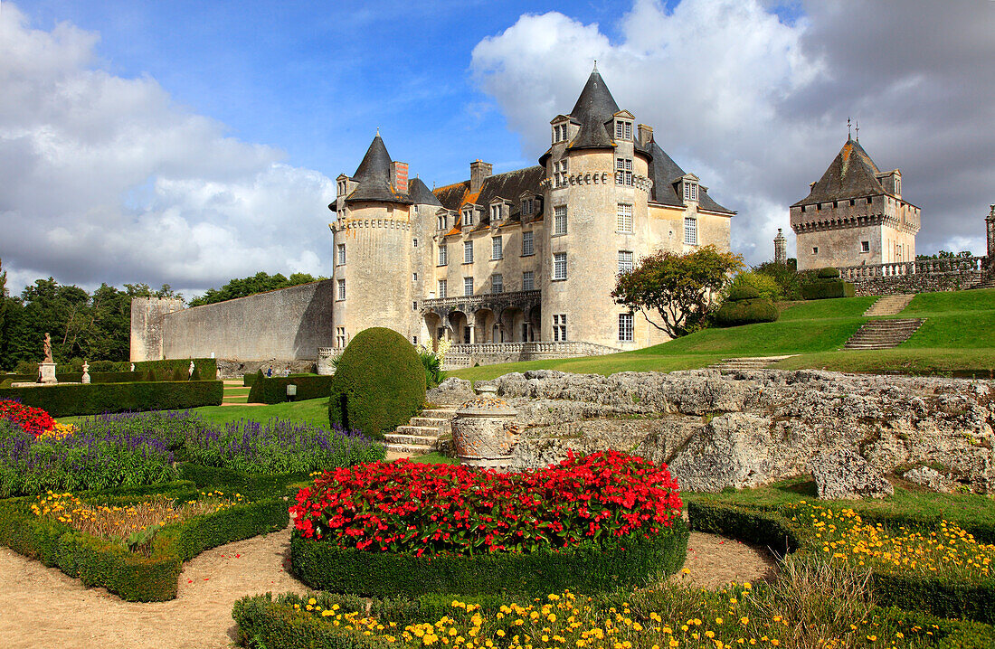 France,Nouvelle Aquitaine,Charente Maritime department (17),Saint Porchaire,La Roche Courbon castle