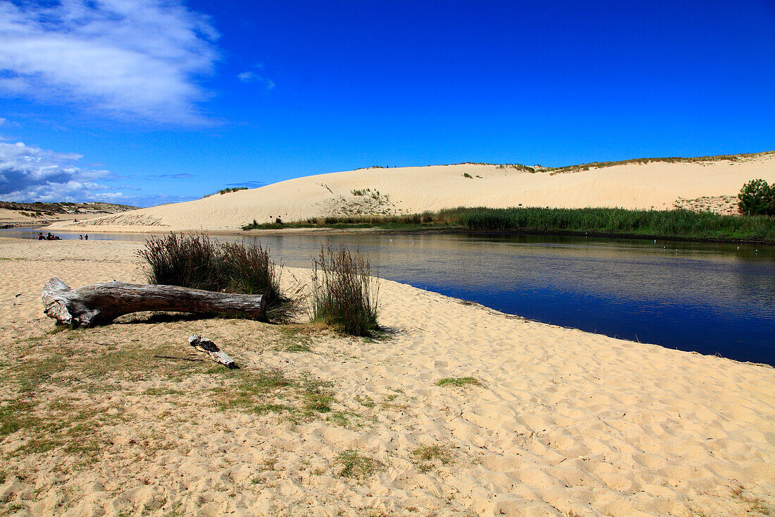 France,Nouvelle Aquitaine,Landes department (40),Moliets et Maa,Moliets plage,le courant d'Huchet (river)