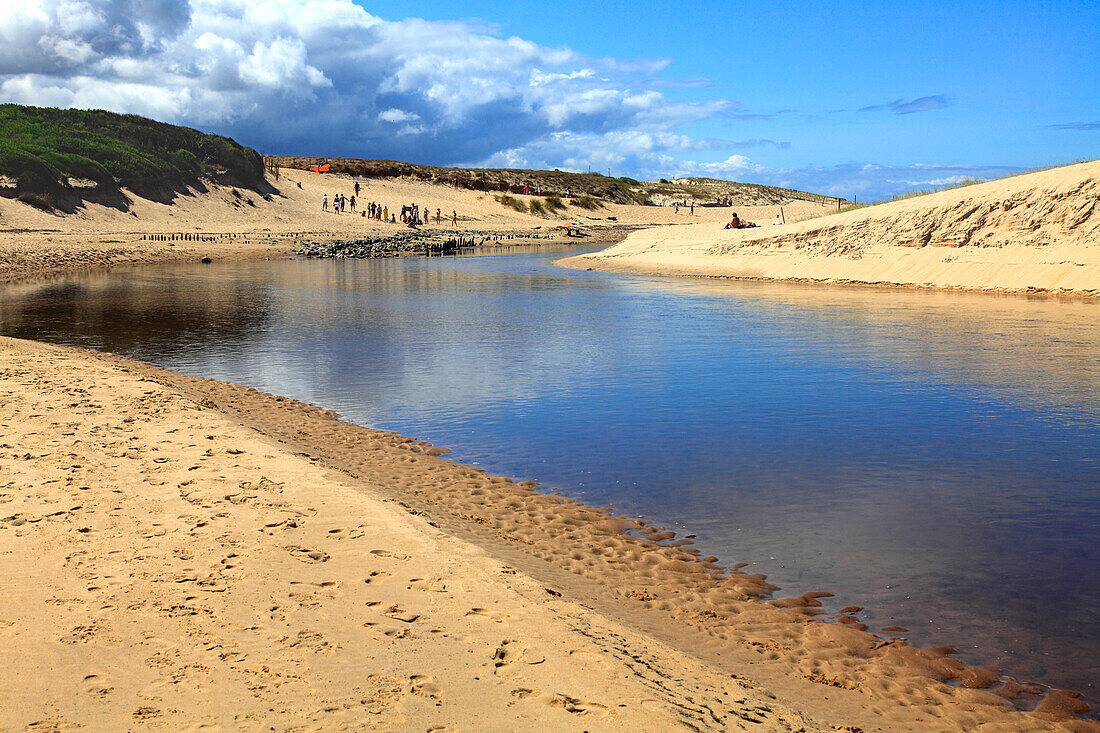 France,Nouvelle Aquitaine,Landes department (40),Moliets et Maa,Moliets plage,le courant d'Huchet (river)