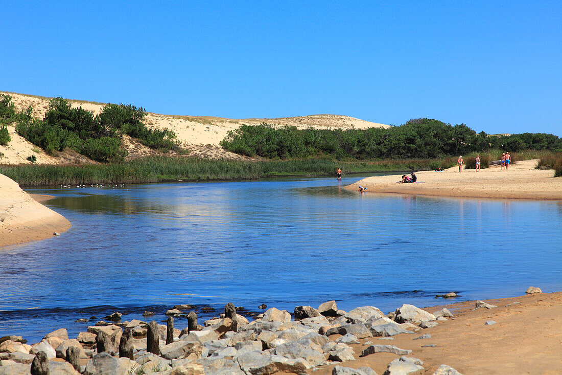 France,Nouvelle Aquitaine,Landes department (40),Moliets et Maa,Moliets plage,le courant d'Huchet (river)