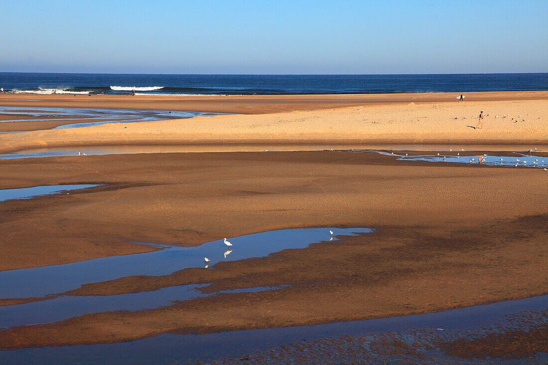 France,Nouvelle Aquitaine,Landes department (40),Moliets et Maa,Moliets plage