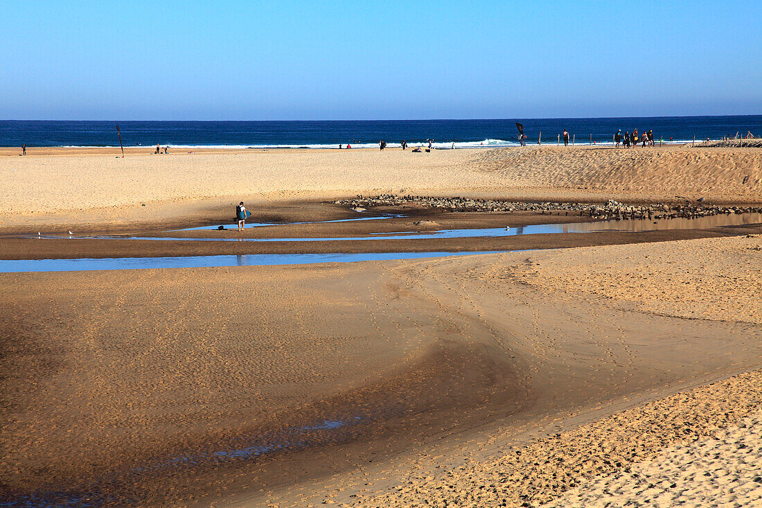 France,Nouvelle Aquitaine,Landes department (40),Moliets et Maa,Moliets plage