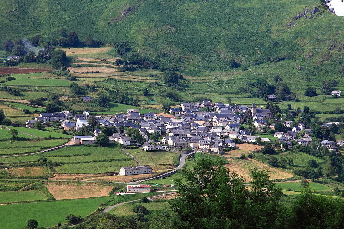 France,Nouvelle Aquitaine,Pyrenees Atlantiques department (64),Bearn,Aspe valley,Lescun