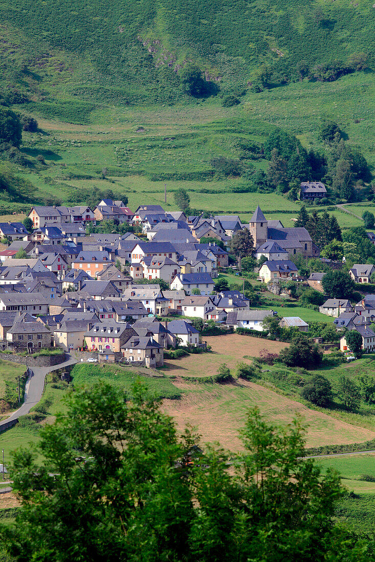 France,Nouvelle Aquitaine,Pyrenees Atlantiques department (64),Bearn,Aspe valley,Lescun