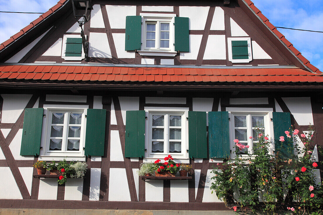 France,Grand-Est,Bas Rhin (67) Alsace,Hunspach