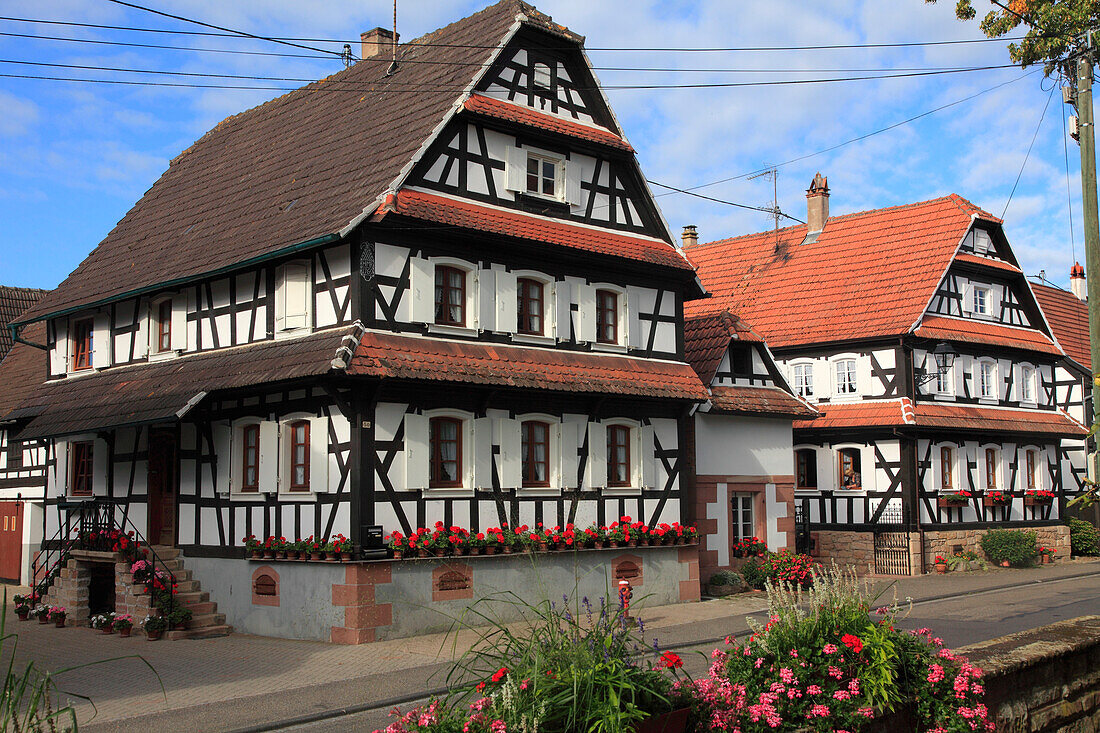 France,Grand-Est,Bas Rhin (67) Alsace,Hunspach