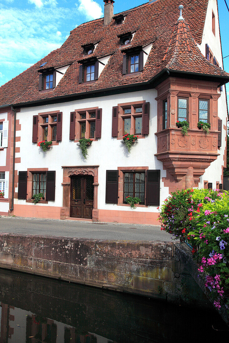 France,Grand-Est,Bas Rhin (67) Alsace,Wissembourg