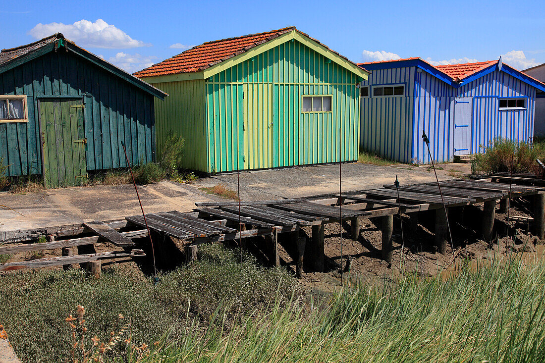 France,Nouvelle Aquitaine,Charente Maritime (17),Oleron island,Saint Pierre d'Oleron,Fort Royer site