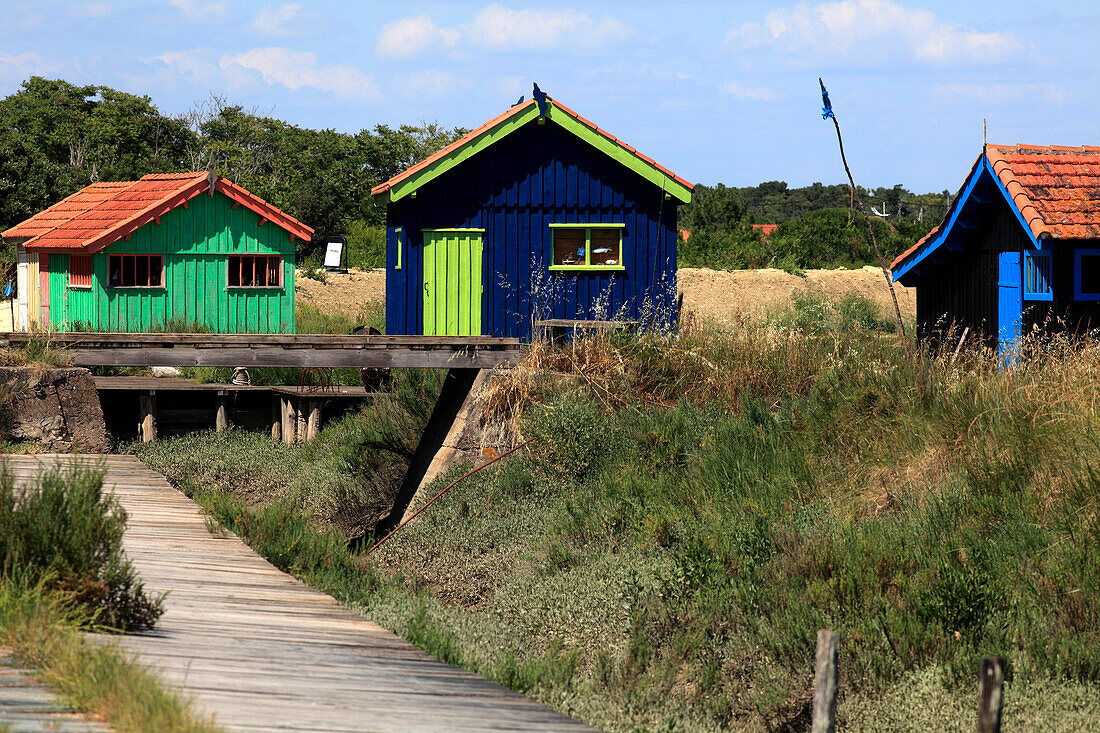 France,Nouvelle Aquitaine,Charente Maritime (17),Oleron island,Saint Pierre d'Oleron,Fort Royer site