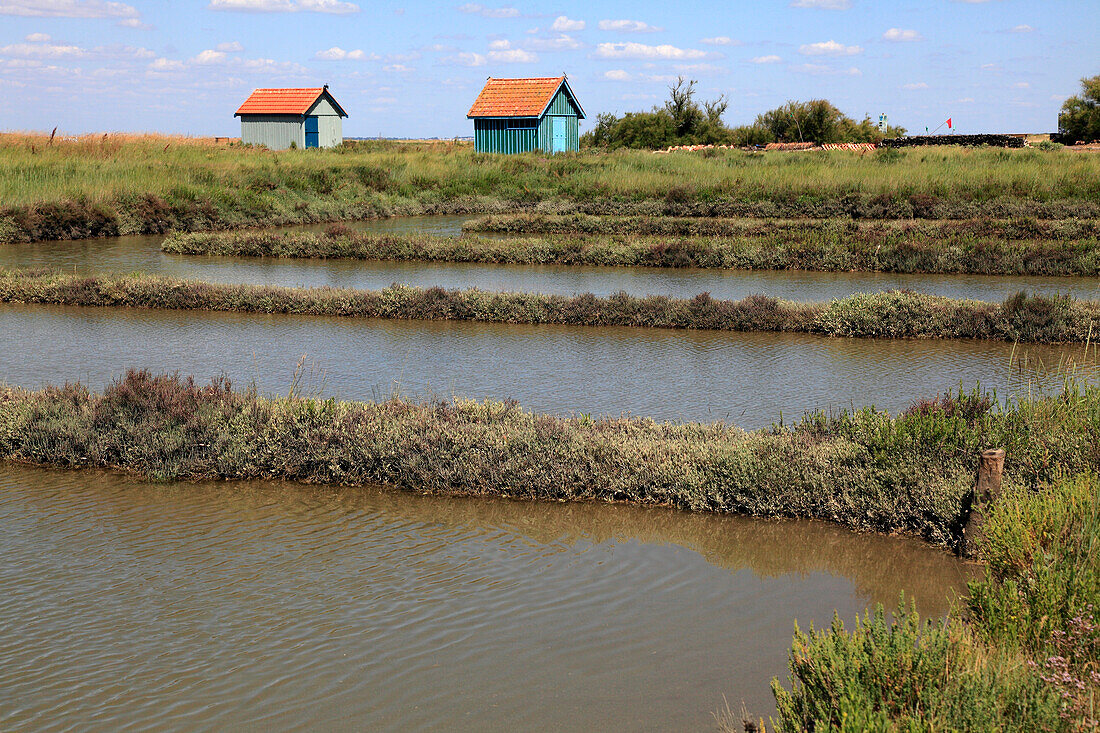 Frankreich,Nouvelle Aquitaine,Charente Maritime (17),Oleron island,Saint Pierre d'Oleron,Fort Royer site