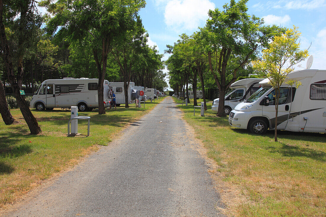 France,Nouvelle Aquitaine,Charente Maritime (17),Oleron island,Saint Pierre d'oleron,la Perrotine district (near Boyardville),camper area