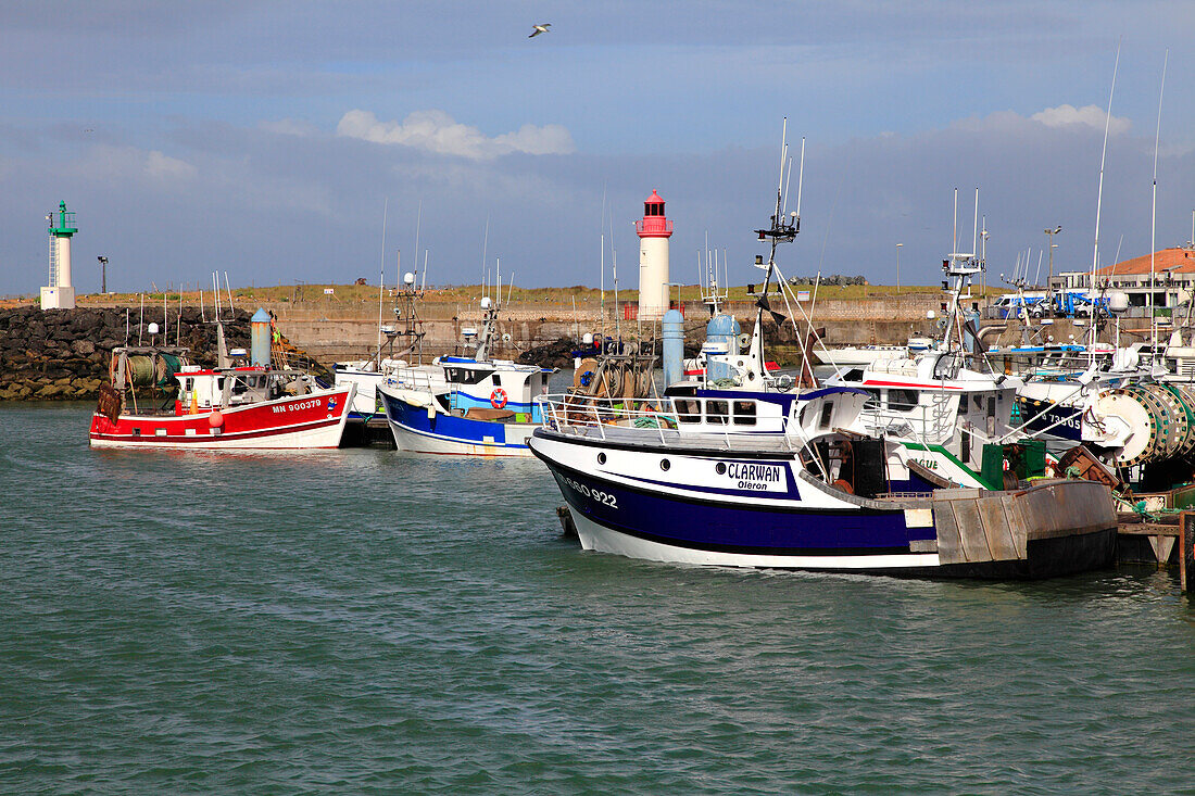 France,Nouvelle Aquitaine,Charente Maritime (17),Oleron island,Saint Pierre d'Oleron,la Cotiniere fishing harbour