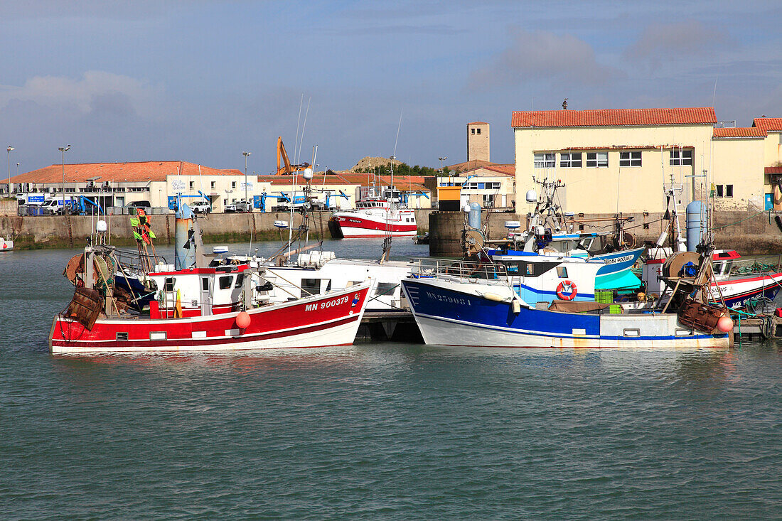 Frankreich,Nouvelle Aquitaine,Charente Maritime (17),Oleron island,Saint Pierre d'Oleron,la Cotiniere fishing harbour