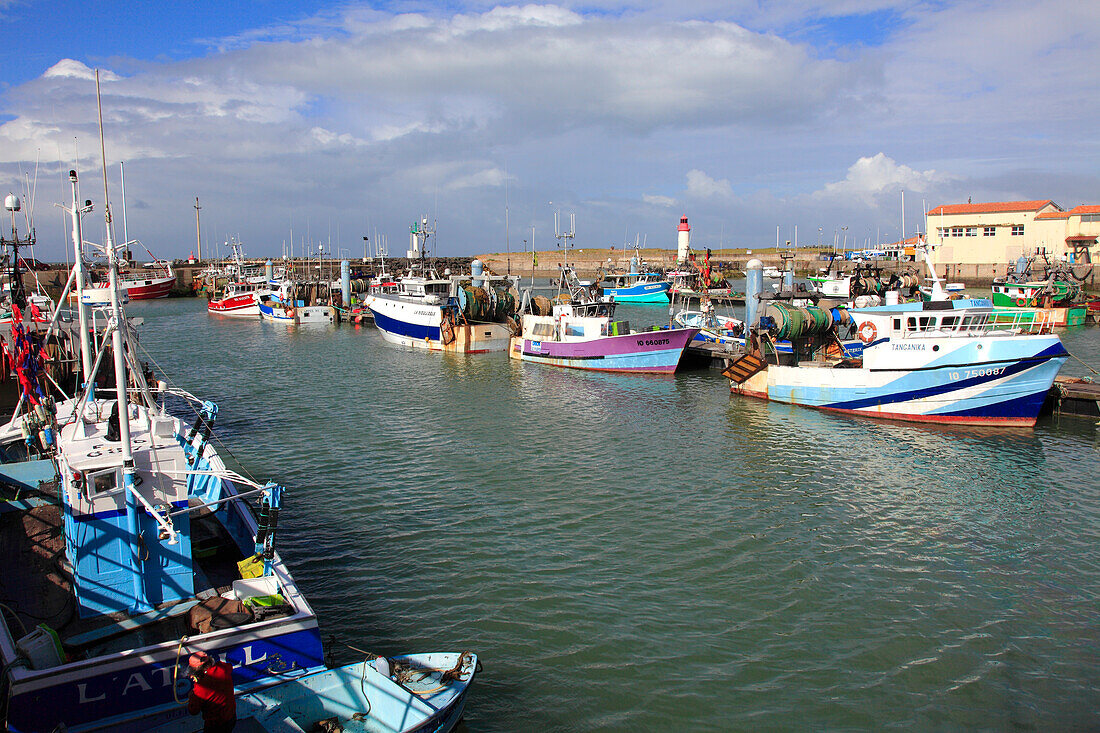 France,Nouvelle Aquitaine,Charente Maritime (17),Oleron island,Saint Pierre d'Oleron,la Cotiniere fishing harbour