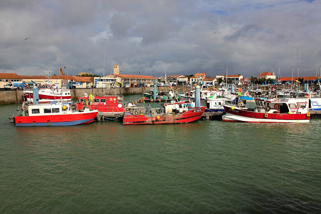 France,Nouvelle Aquitaine,Charente Maritime (17),Oleron island,Saint Pierre d'Oleron,la Cotiniere fishing harbour