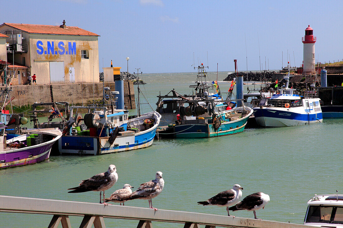 Frankreich,Nouvelle Aquitaine,Charente Maritime (17),Oleron island,Saint Pierre d'Oleron,la Cotiniere fishing harbour