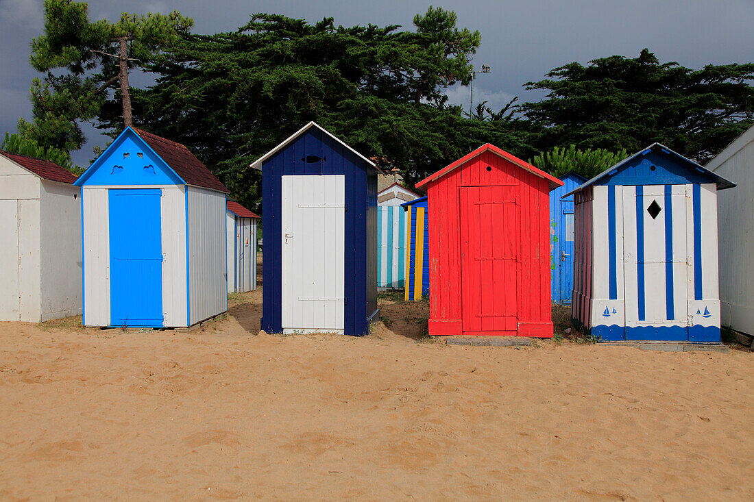 France,Nouvelle Aquitaine,Charente Maritime (17),Oleron island,Saint Denis d'Oleron,la Boirie beach