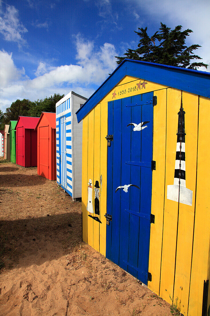 France,Nouvelle Aquitaine,Charente Maritime (17),Oleron island,Saint Denis d'Oleron,la Boirie beach