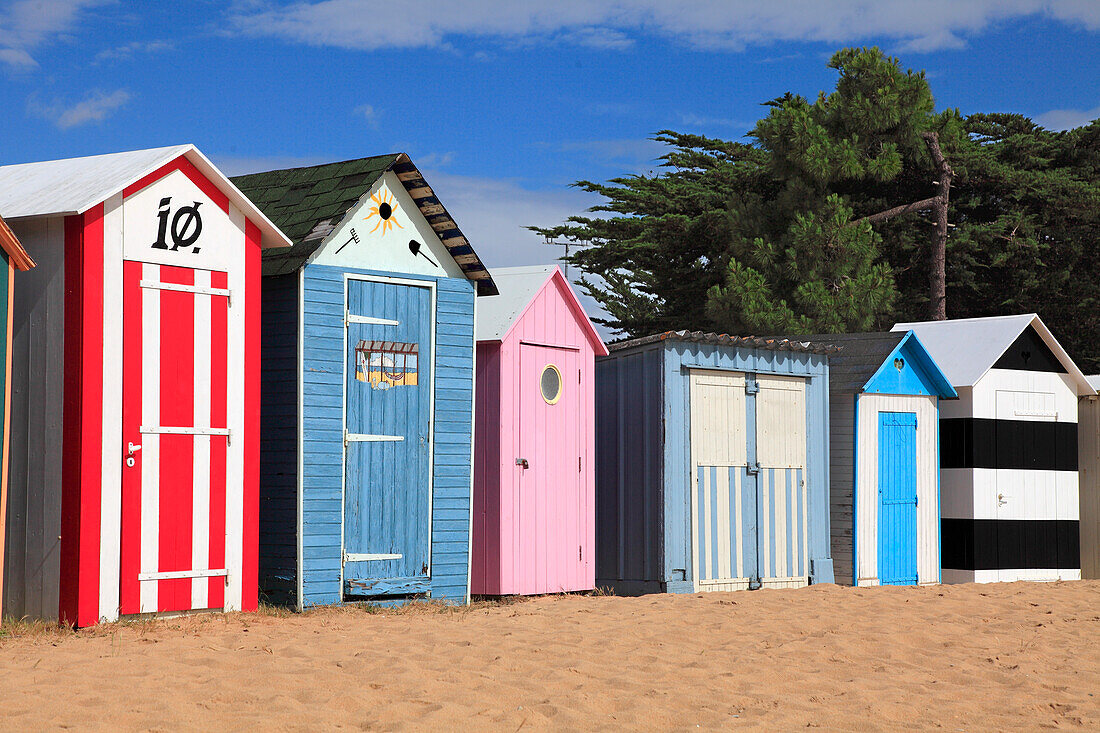 France,Nouvelle Aquitaine,Charente Maritime (17),Oleron island,Saint Denis d'Oleron,la Boirie beach