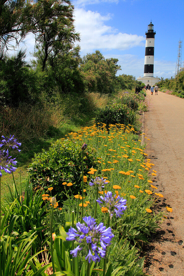 France,Nouvelle Aquitaine,Charente Maritime (17),Oleron island,Saint denis d'Oleron,chassiron lighthouse