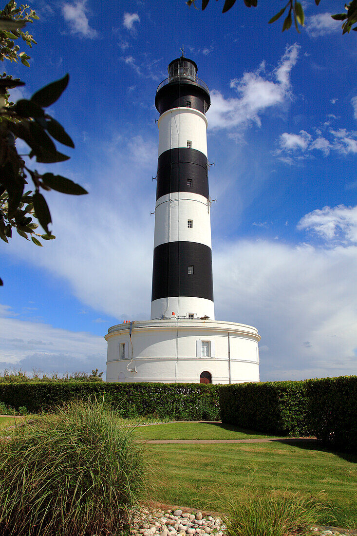 Frankreich,Nouvelle Aquitaine,Charente Maritime (17),Oleron island,Saint denis d'Oleron,chassiron lighthouse