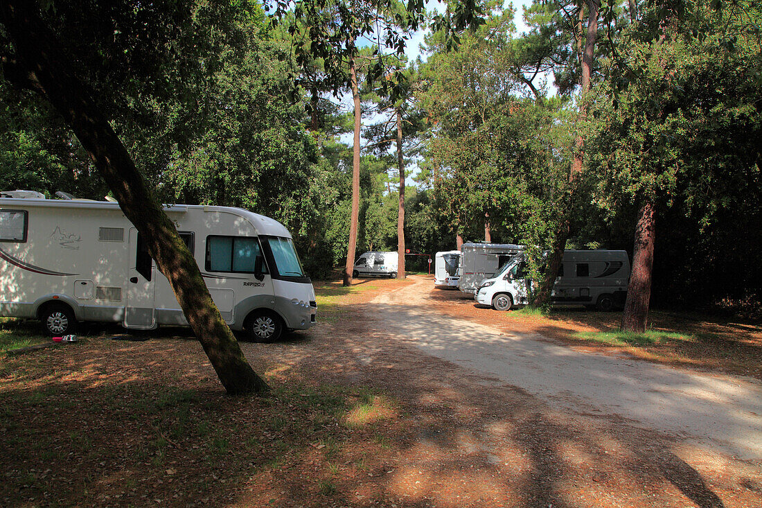 France,Nouvelle Aquitaine,Charente Maritime (17),Oleron island,Grand village plage,camper area