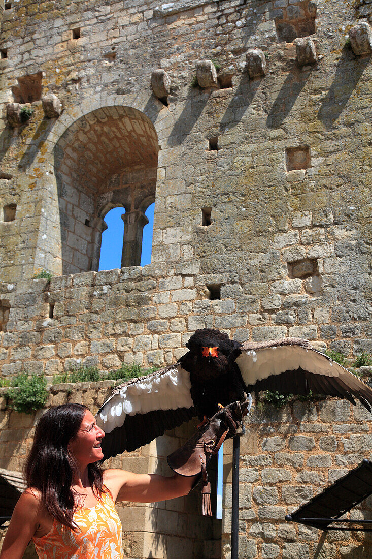 France,Nouvelle Aquitaine,Vienne department,Chauvigny,medieval city,Eveques castle