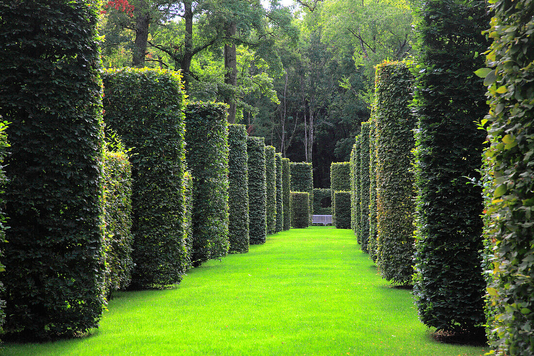 France,Centre Val de Loire,Cher department,Jalognes,Pesselieres garden and castle