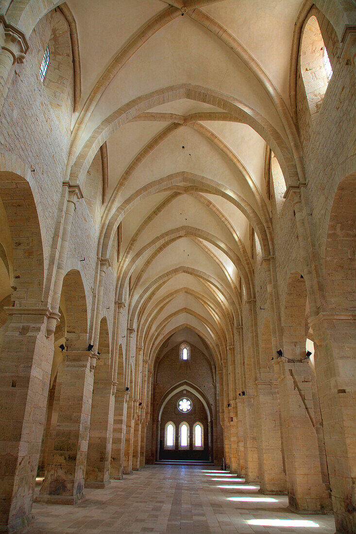 France,Centre Val de Loire,Cher department,Bruere Allichamps,Noirlac abbey,the church