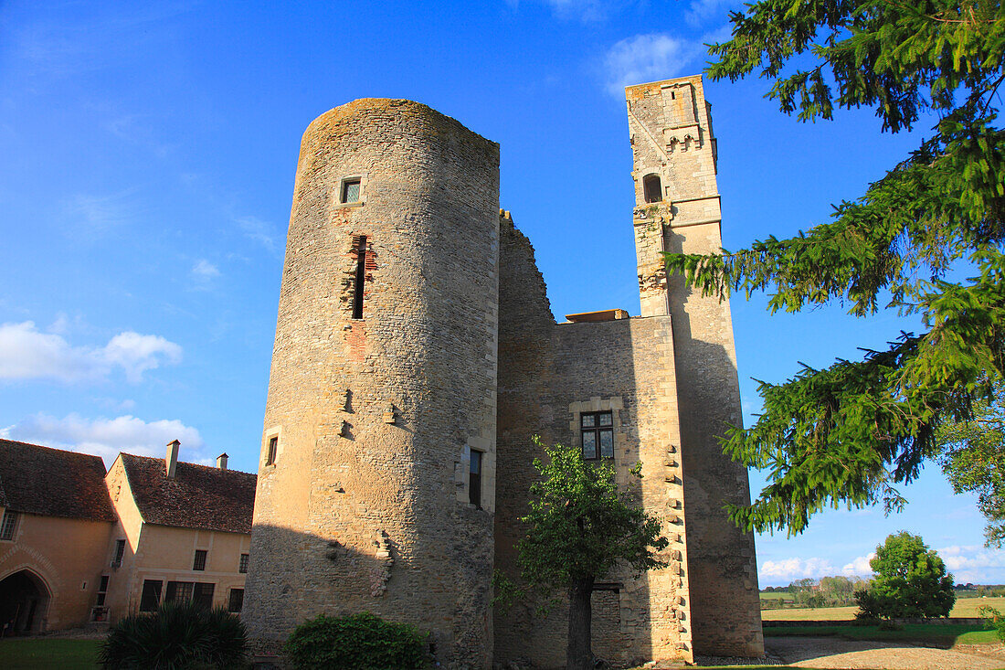 France,Centre Val de Loire,Cher department,Sagonne castle (Sancoins area)