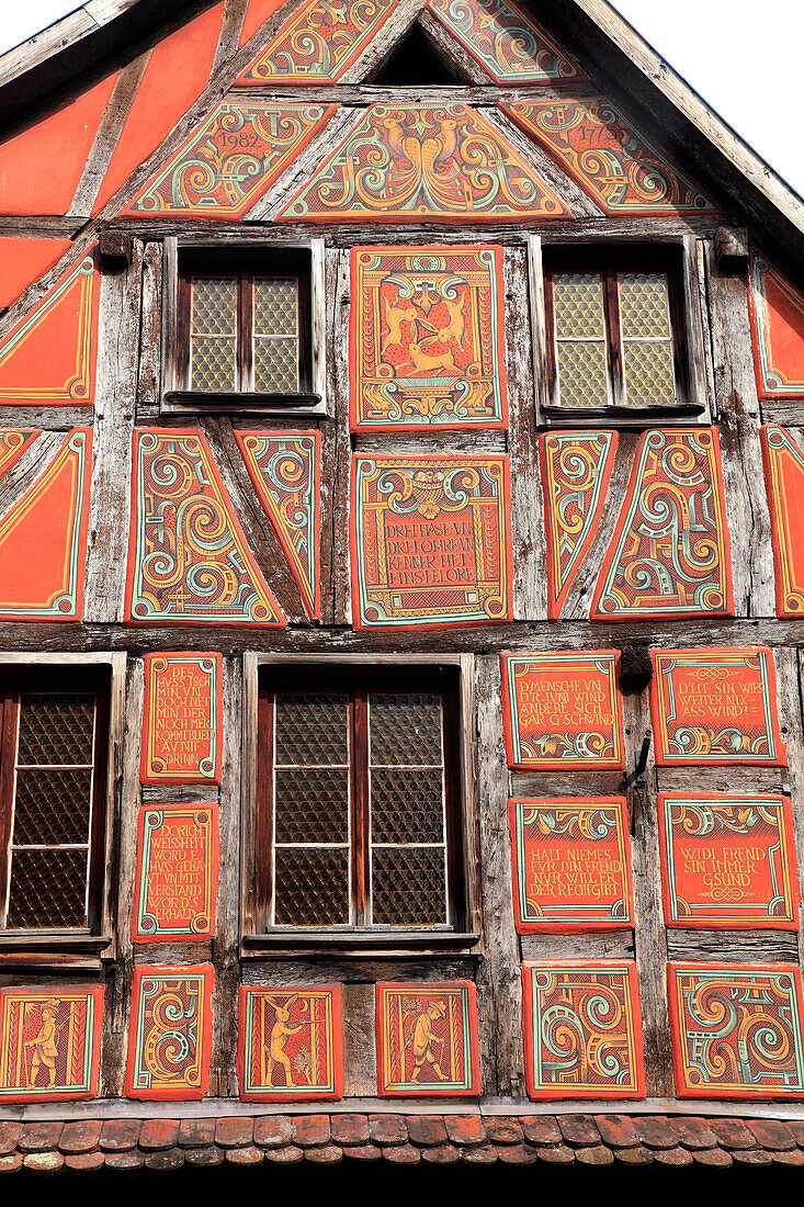 Frankreich,Großostfrankreich,Niederrhein (67) Elsass,Val de Moder,Pfaffenhoffen