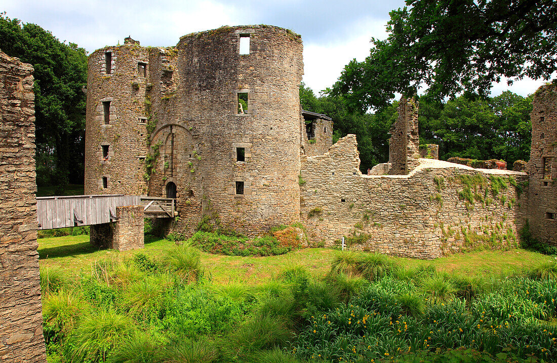 France,Pays de la Loire,Loire Atlantique (44),Natural parc of Briere,Herbignac,Ranrouet castle,