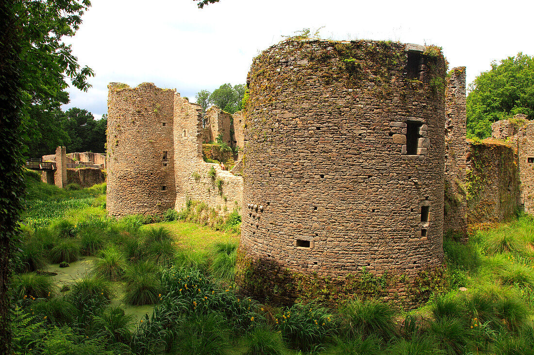 France,Pays de la Loire,Loire Atlantique (44),Natural parc of Briere,Herbignac,Ranrouet castle,