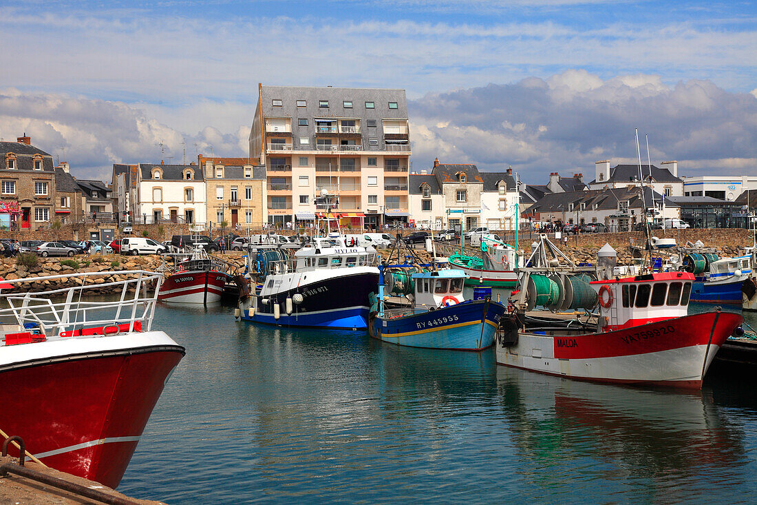 France,Pays de la Loire,Loire Atlantique (44),La Turballe,fishing harbour