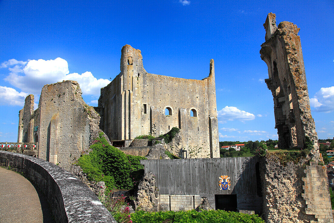 France,Nouvelle Aquitaine,Vienne department,Chauvigny,medieval city,Eveques castle