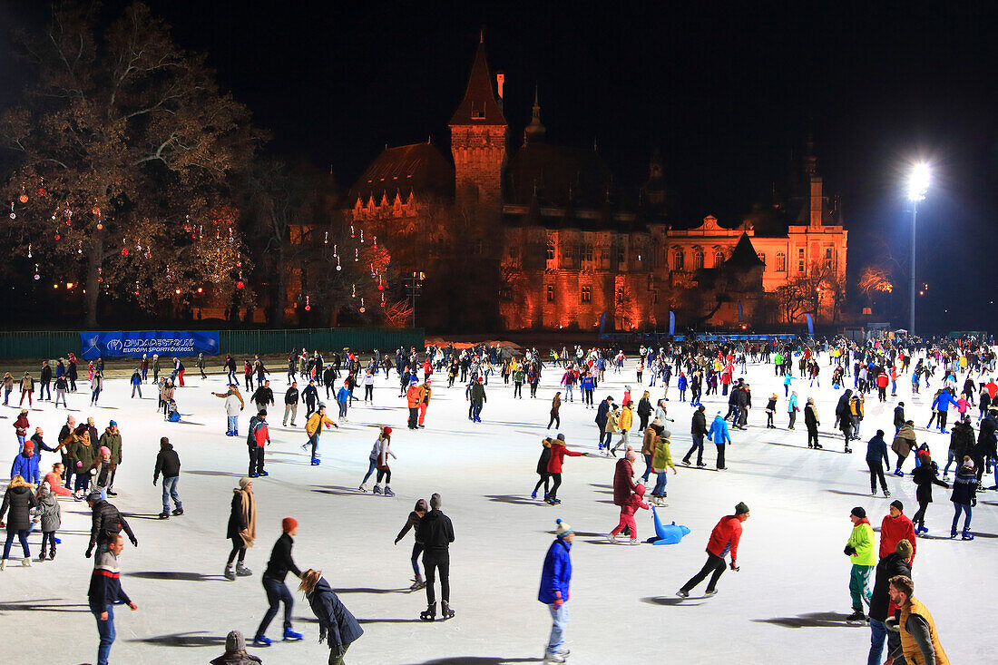 Europa,Ungarn,Budapest . Vajdahunyad Castle,Varosliget. Ice Rink