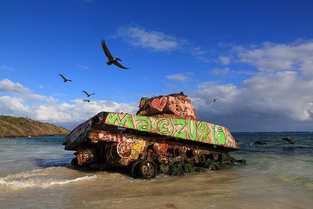 Usa,Porto rico. Culebra Island. Flamenco beach