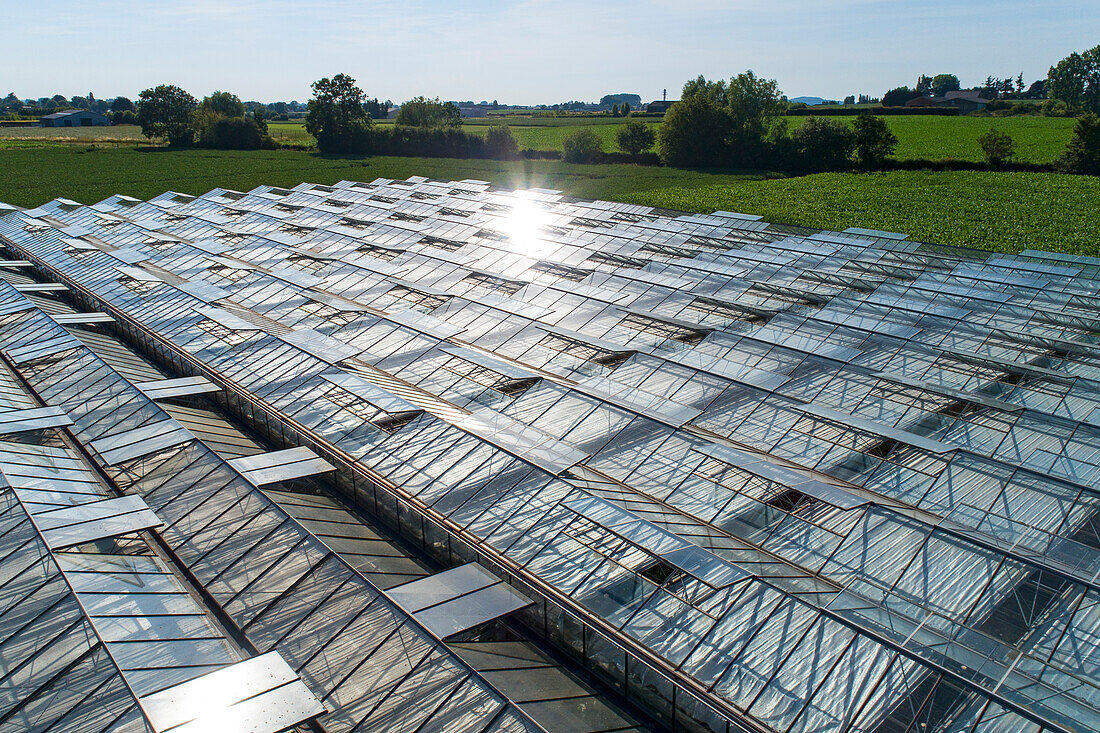 France,Hauts de France,greenhouse