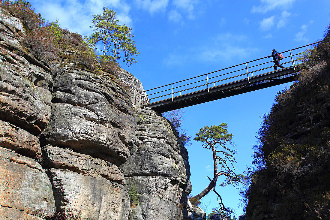 Germany,Saxony,Saxon Switzerland,sandstone rock formations