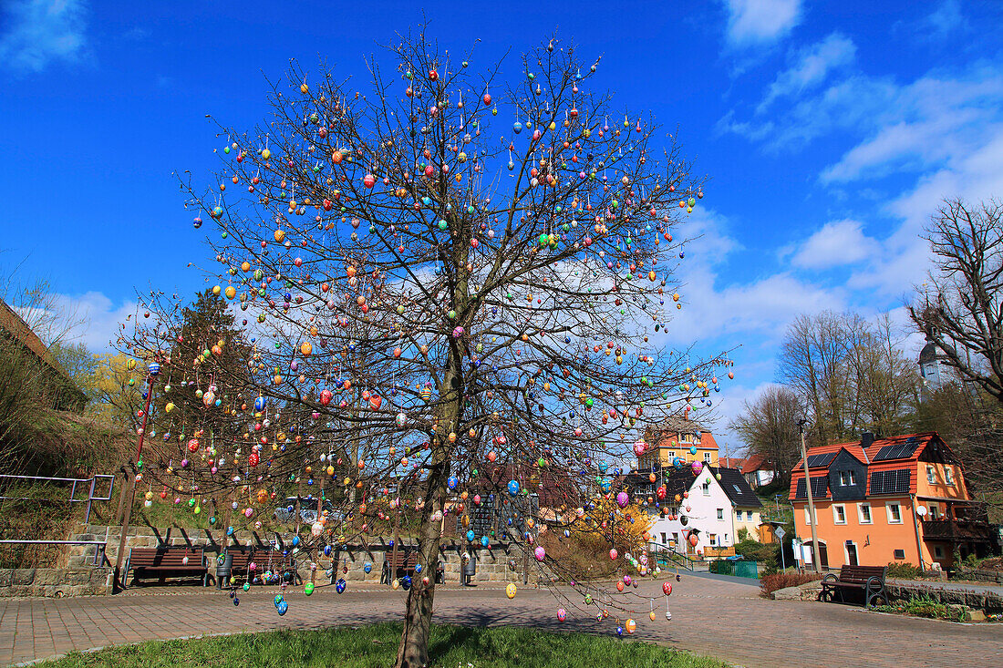 Germany,tree decorated with Easter eggs