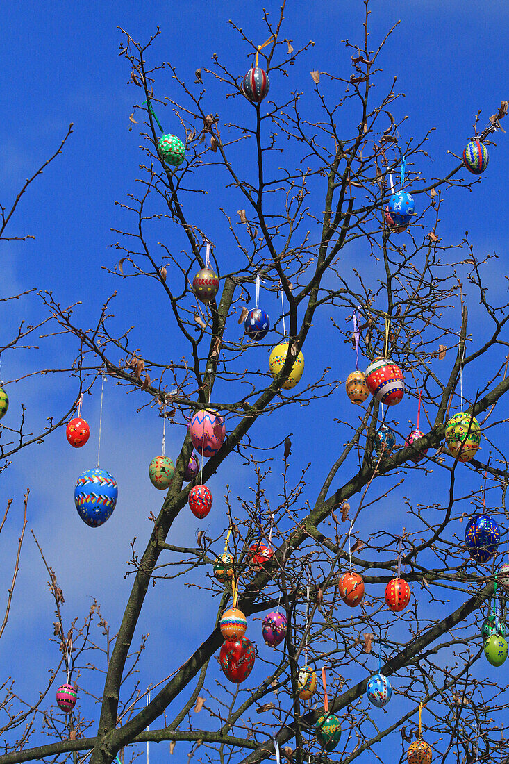 Germany,tree decorated with Easter eggs