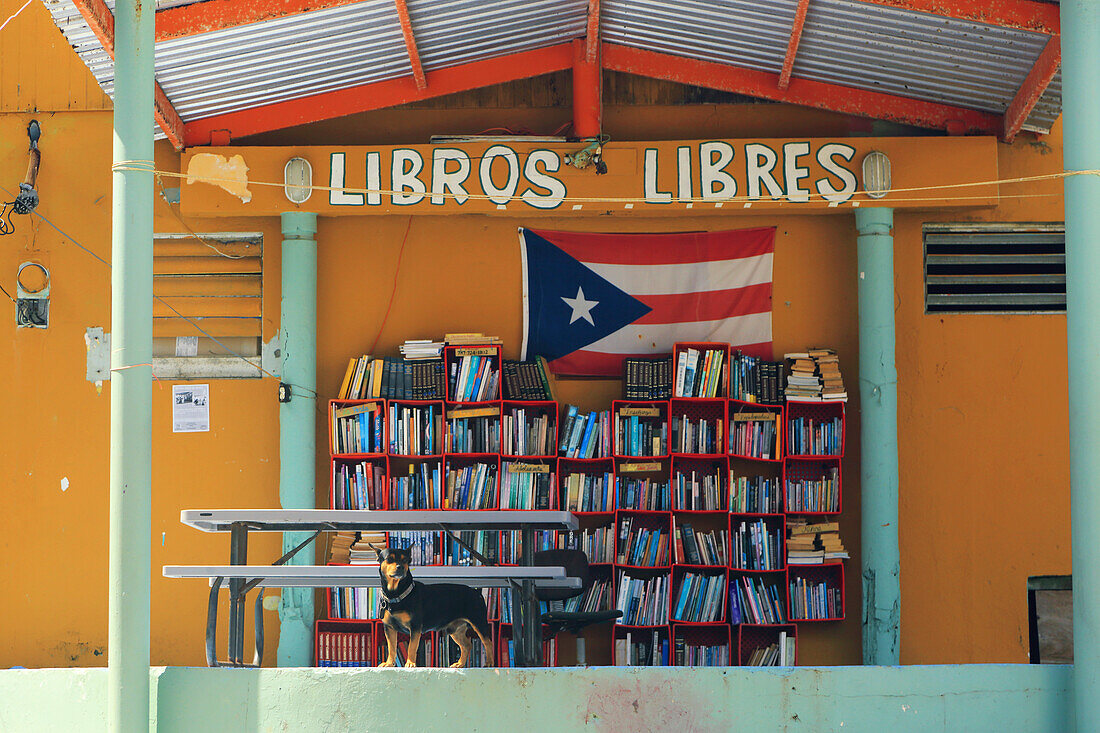 Usa,Porto Rico,San Juan. La Perla. Library