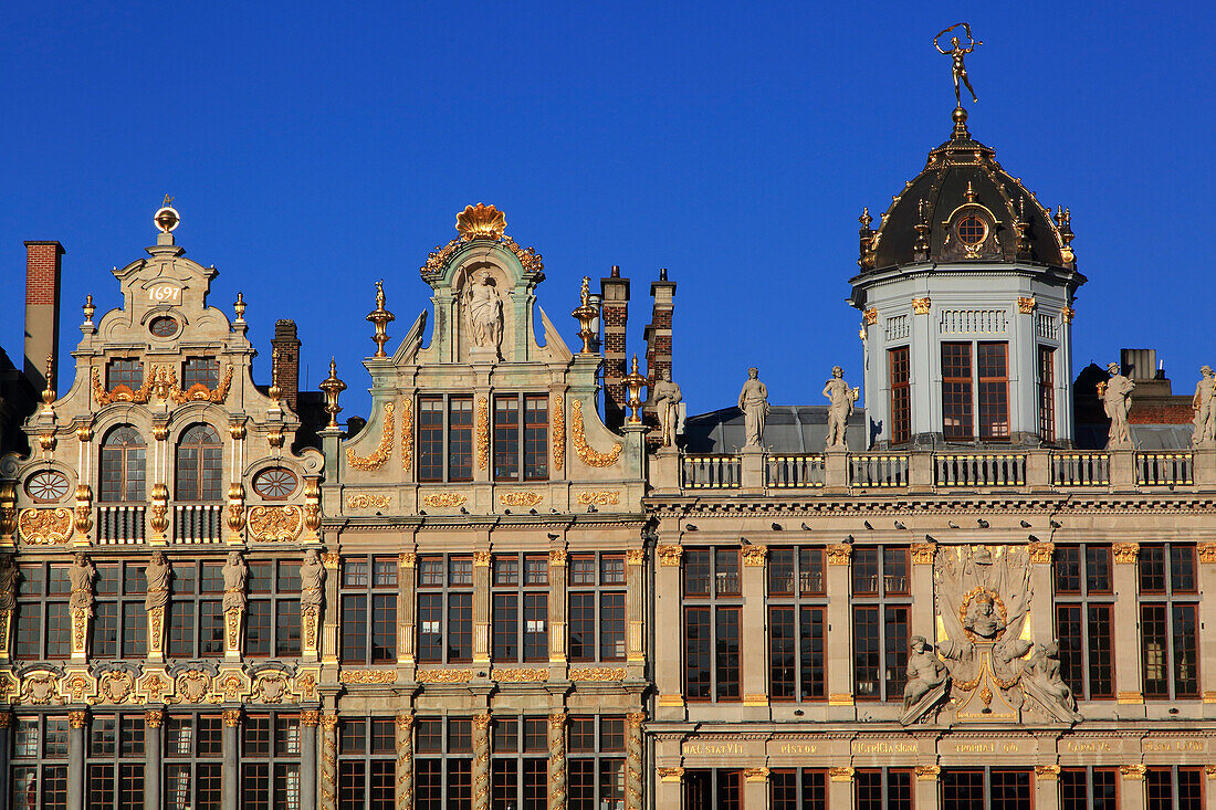 Europe,Belgium,Brussels. Grand Place