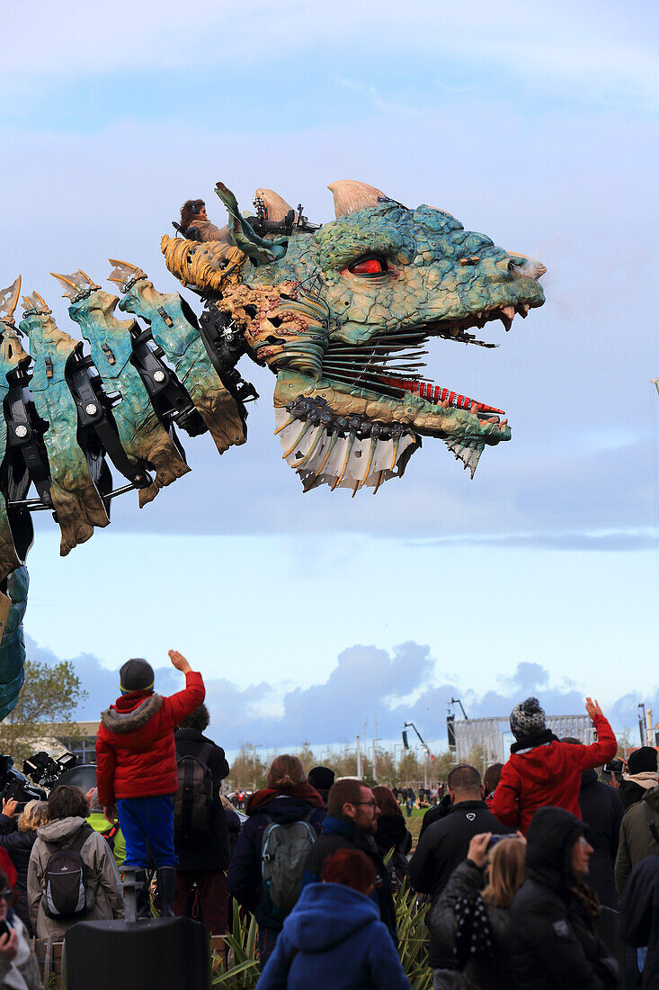 Drache von Calais, Frankreich