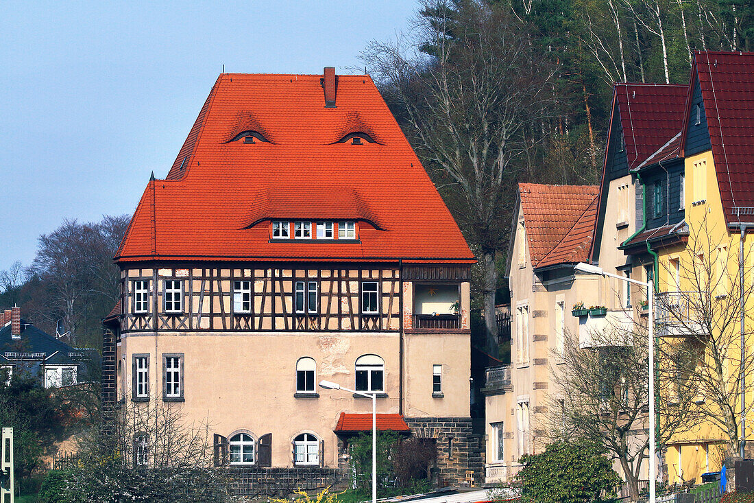 Europe,Germany,house shaped face