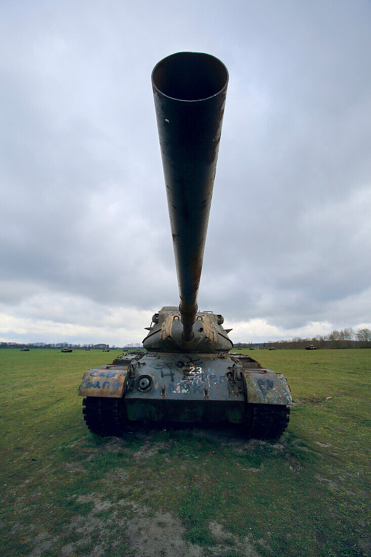 Deutschland,Sogel,Patton Tank Cemetery in einem Feld