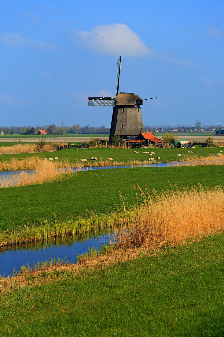 Europa,Niederlande,Windmühle in Schermerhorn