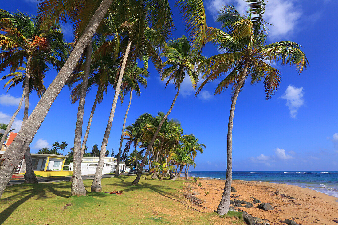 Usa,Porto RicoPuerto Rico,Luquillo,La Pared Strand