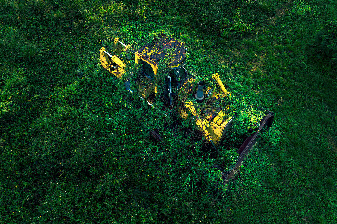 Bulldozer abandoned and attacked by vegetation.