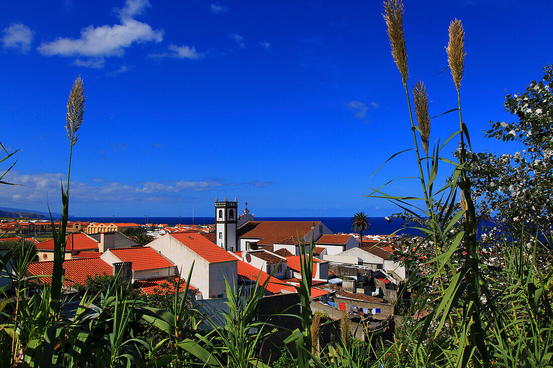 Insel Sao Miguel, Azoren, Portugal. Maia